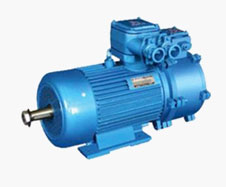 YBZP系列起重用隔爆型變頻調速三相異步電動機